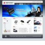 4219汽车电子公司网站