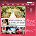 8008婚庆服务公司网站